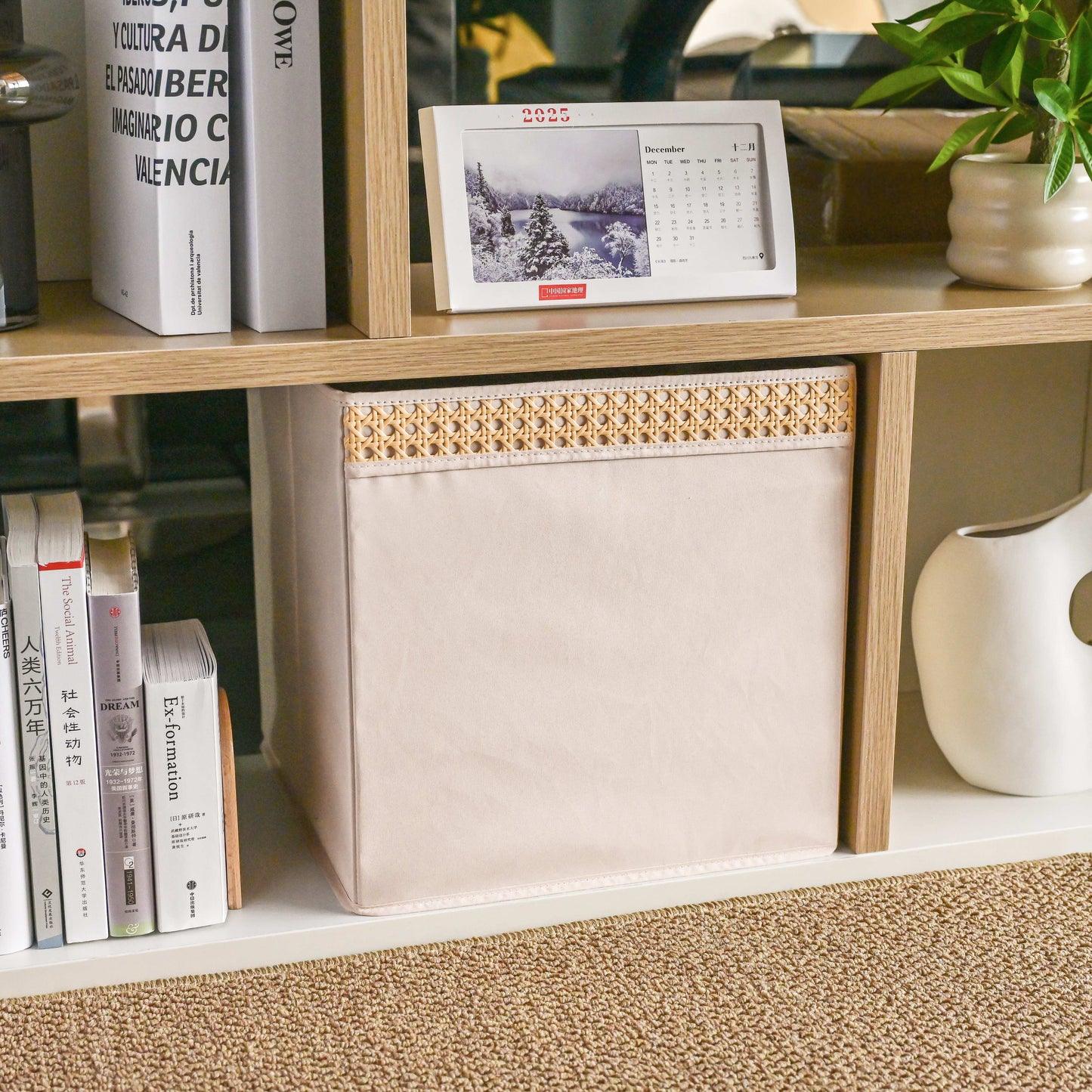 Soft Touch Cabinet Storage Bins - Beige - side angle view showing dimensions