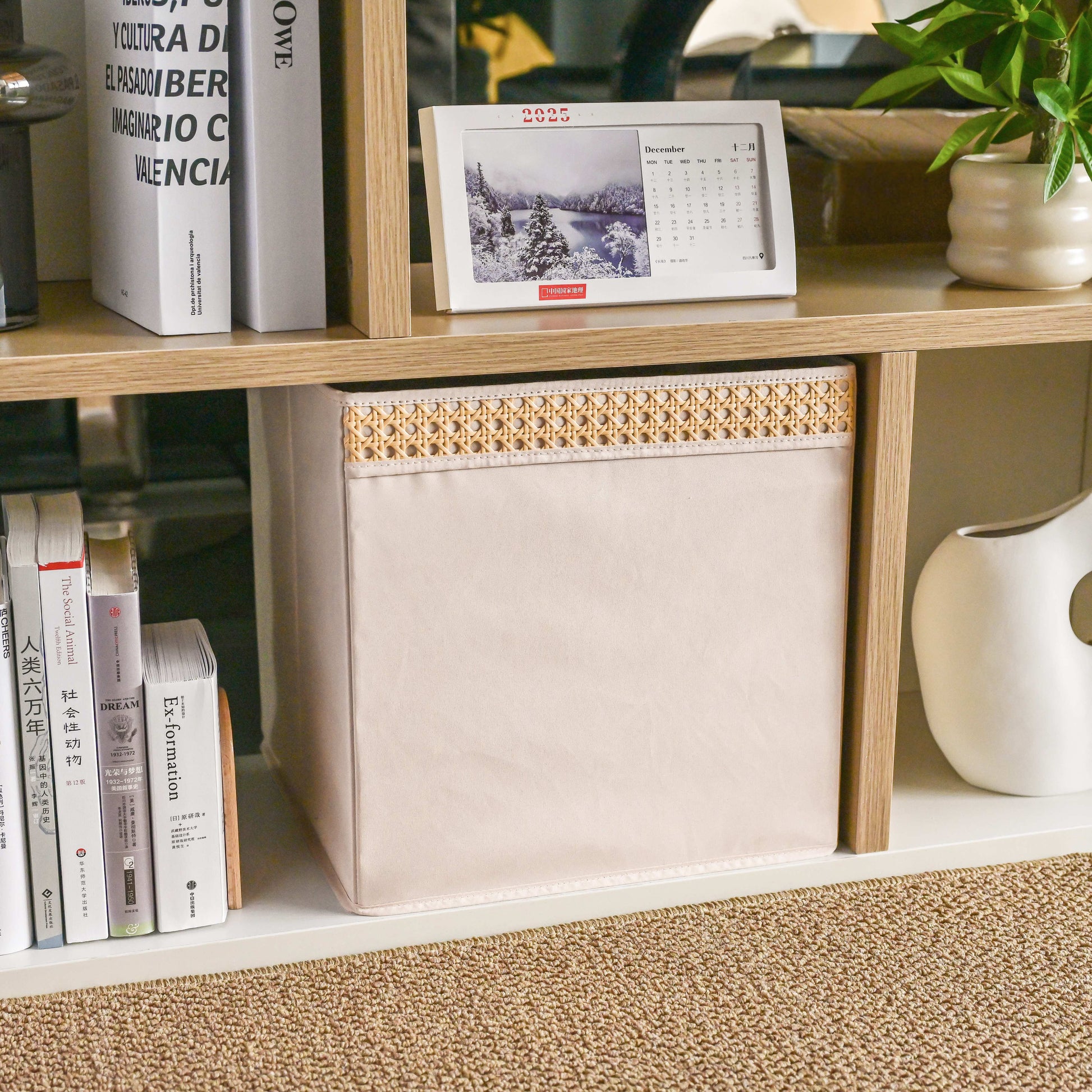 Soft Touch Cabinet Storage Bins - Beige - side angle view showing dimensions